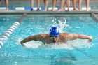 Swimming vs Babson  Wheaton College Swimming vs Babson College. - Photo By: KEITH NORDSTROM : Wheaton, Swimming, Babson